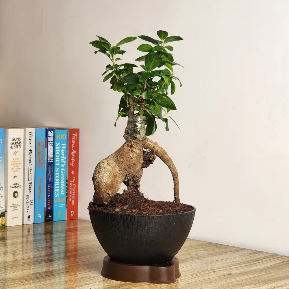product-gallery