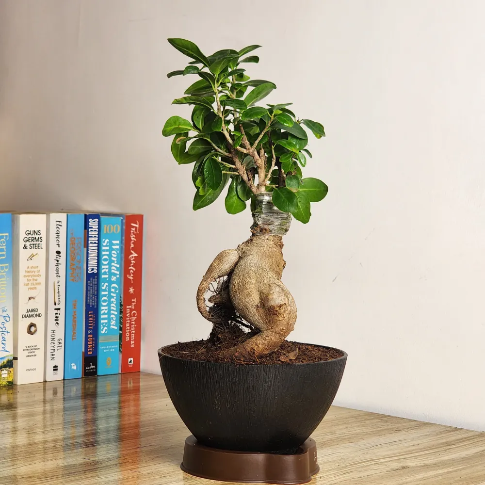 product-gallery