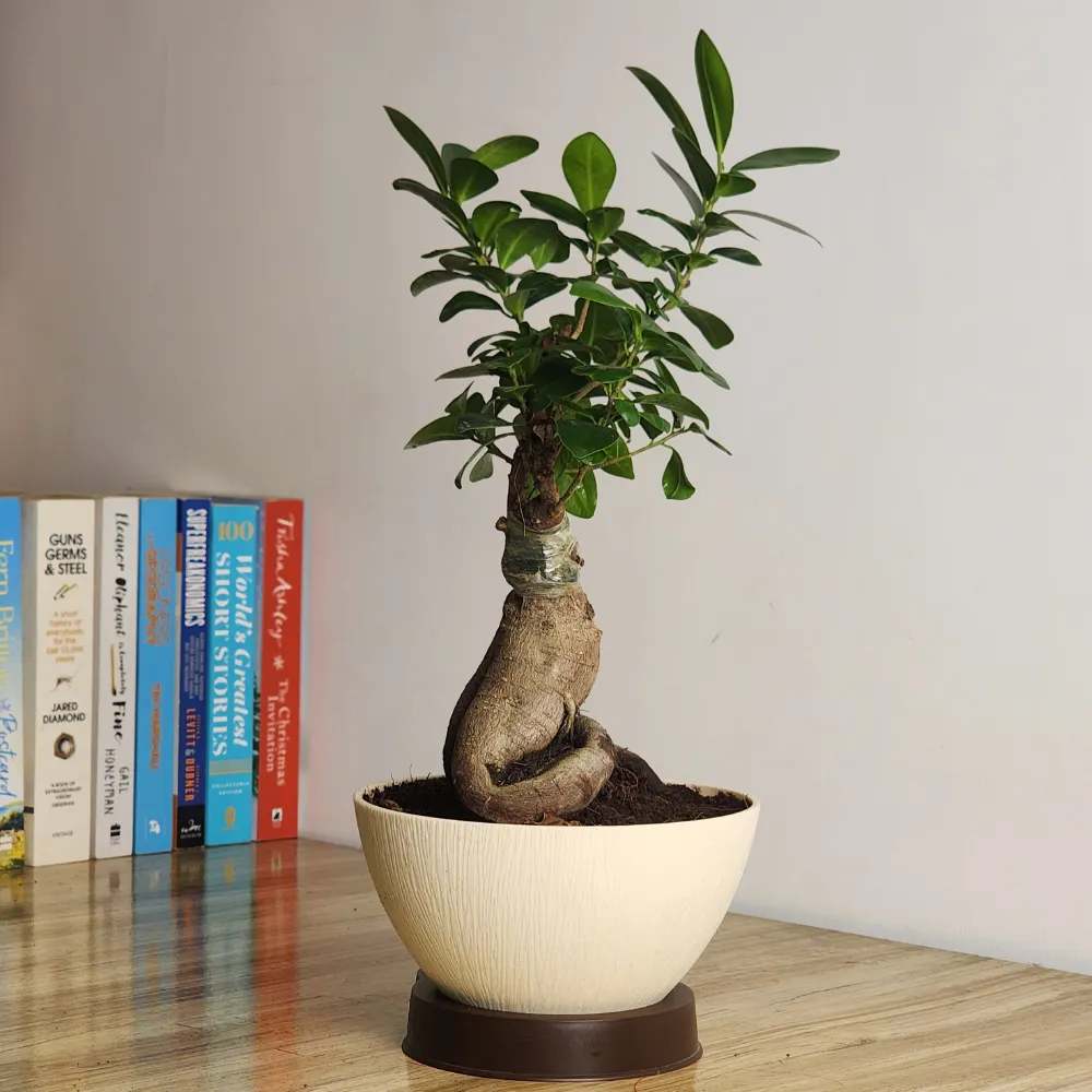 product-gallery