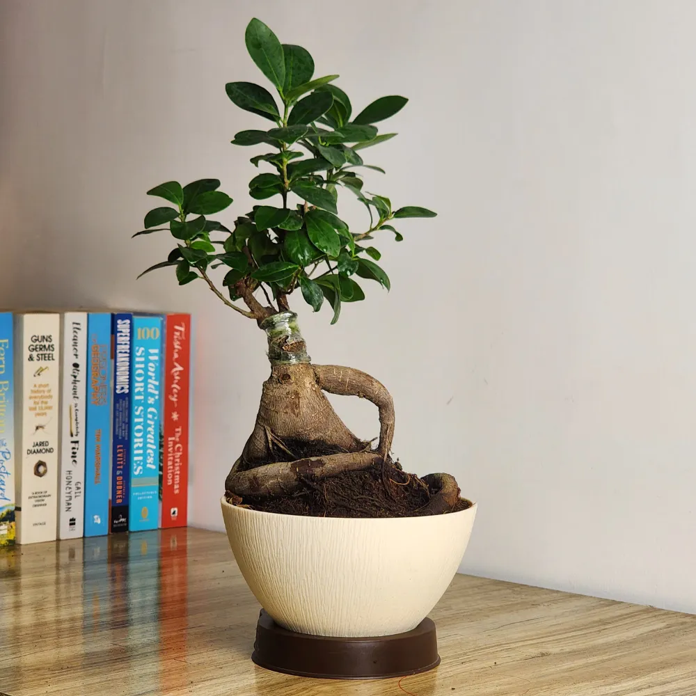 product-gallery