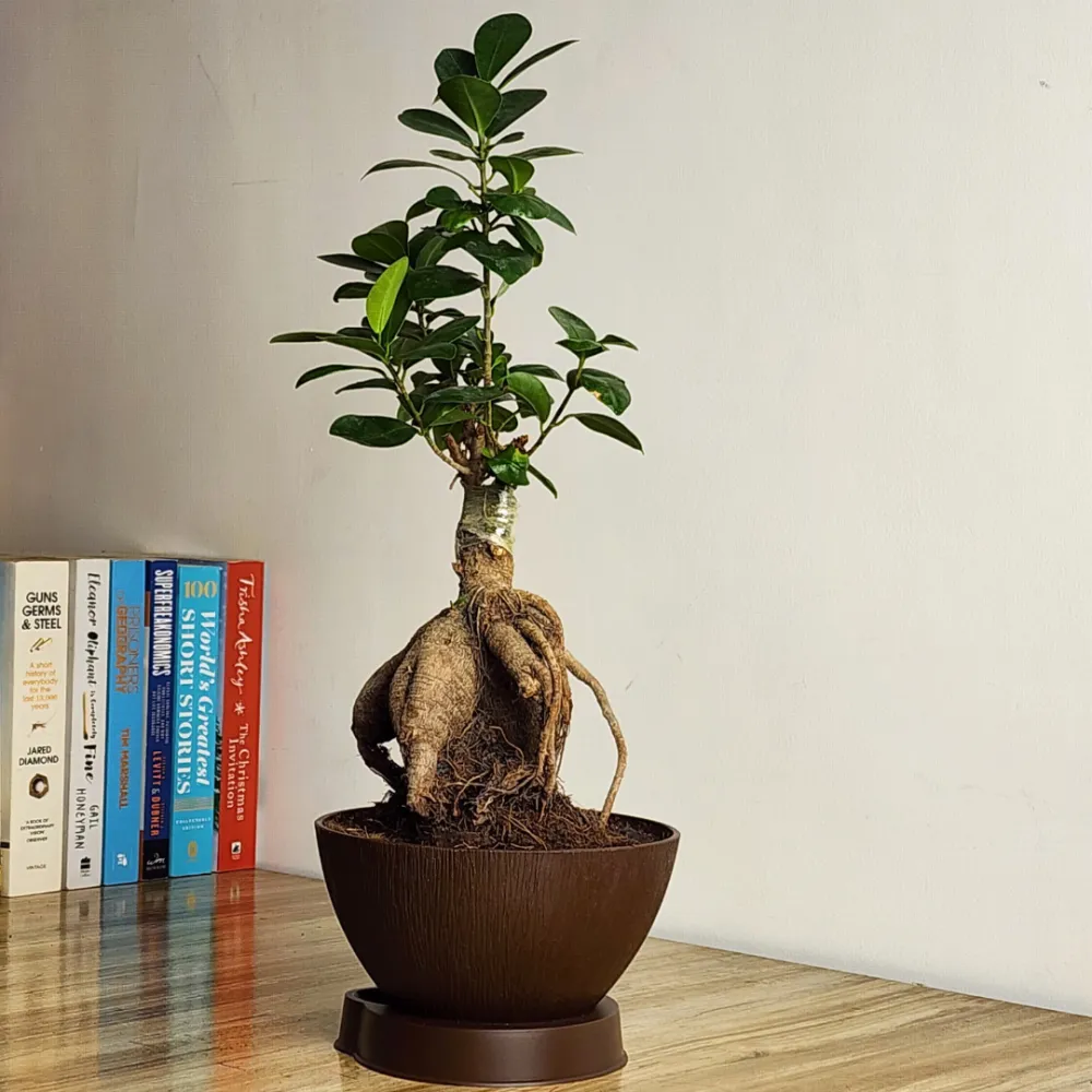 product-gallery