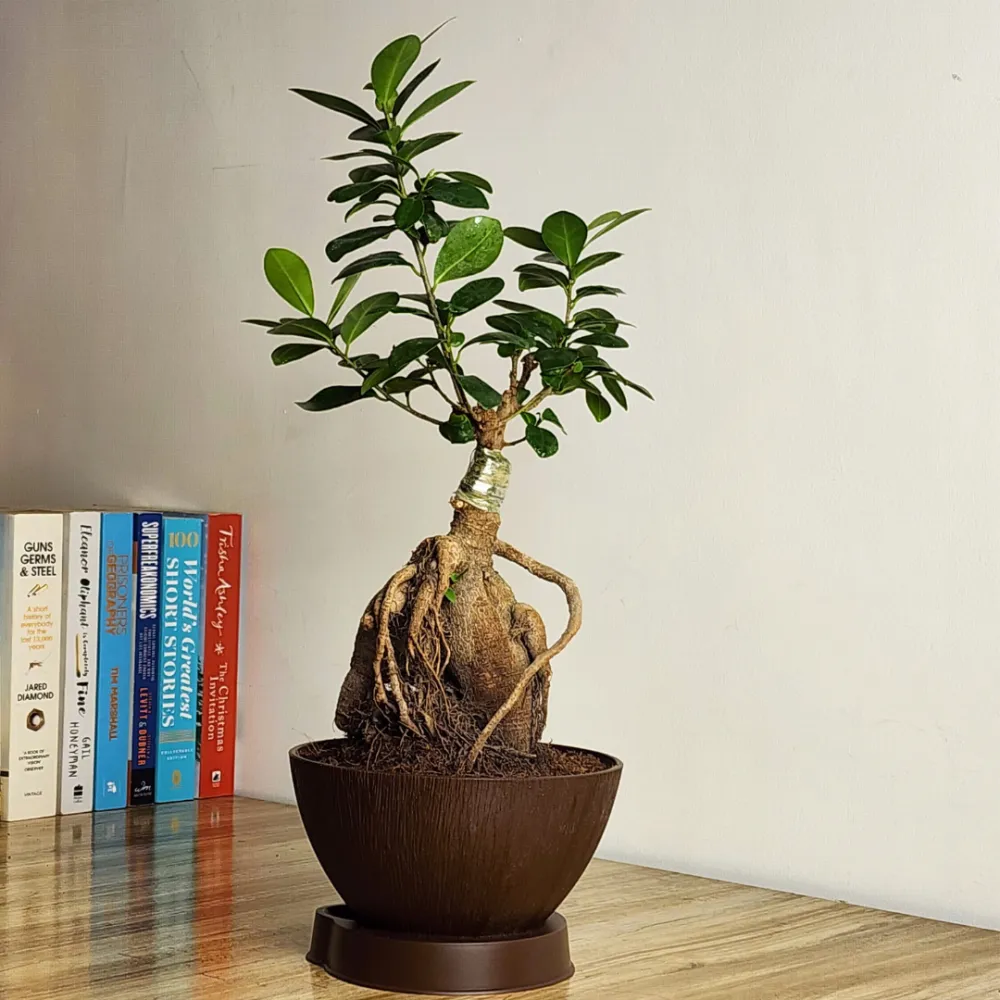 product-gallery