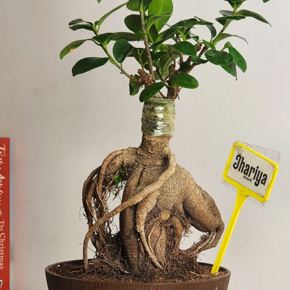 product-gallery