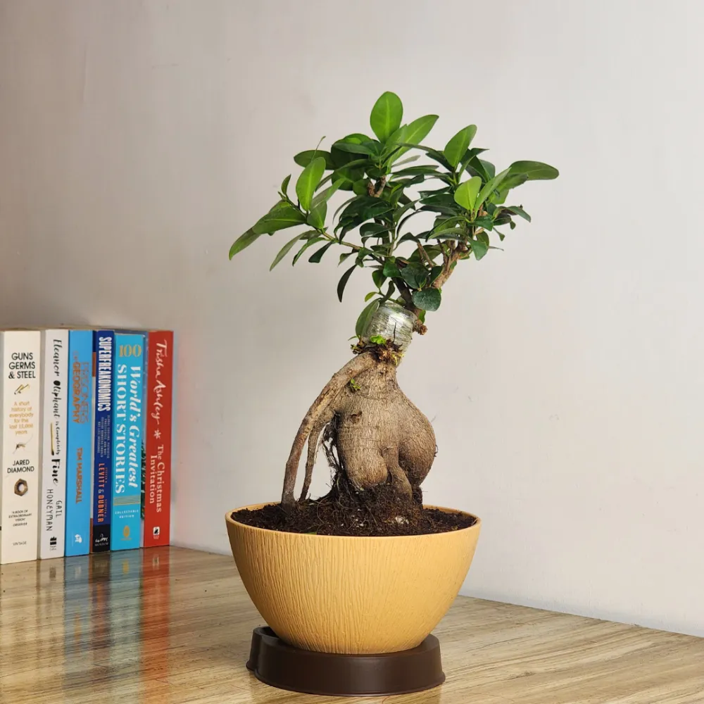 product-gallery