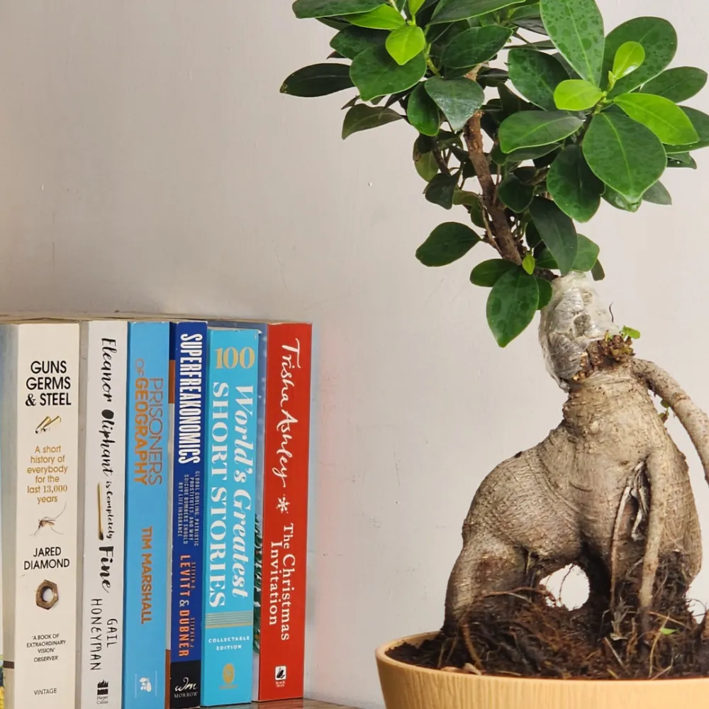 product-gallery