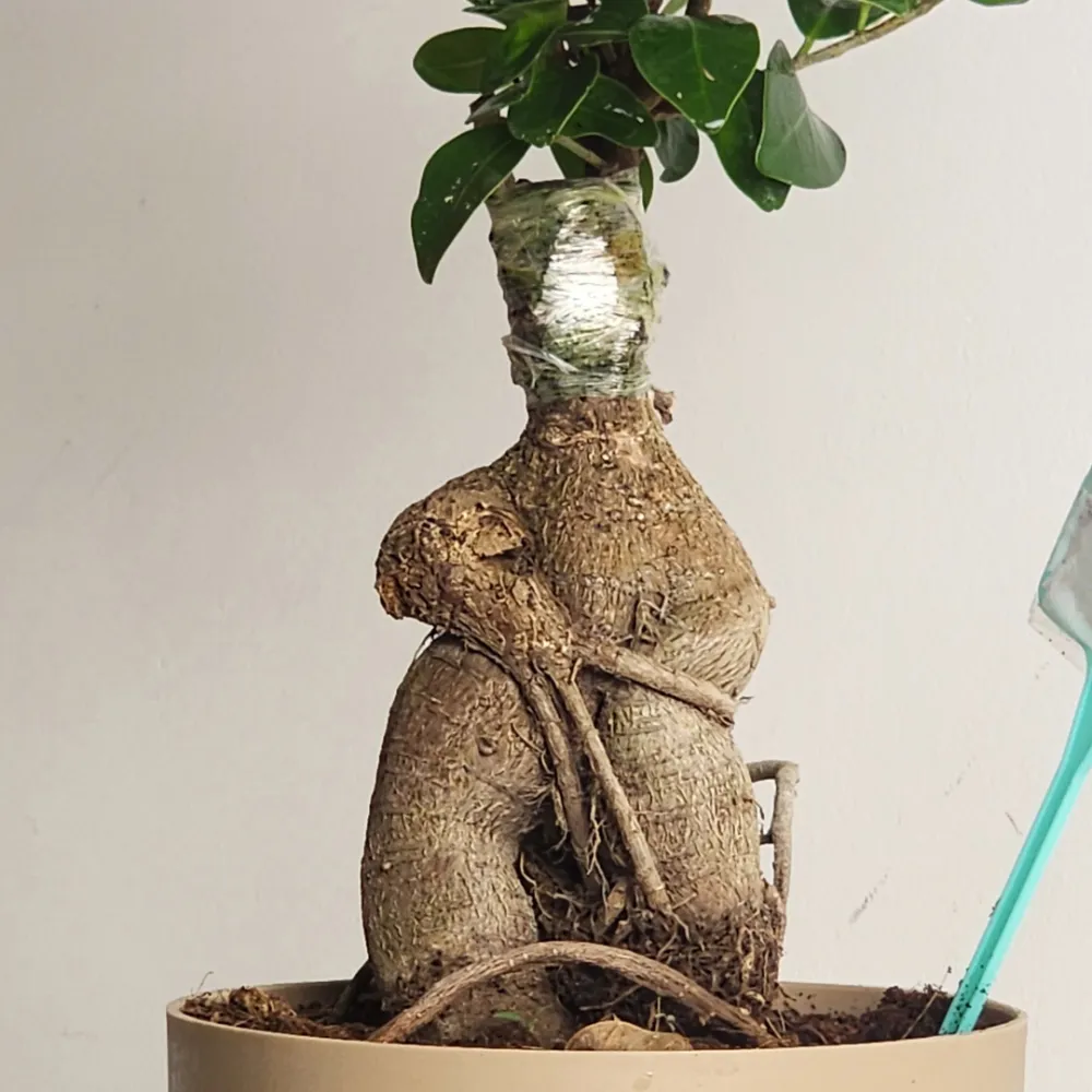 product-gallery
