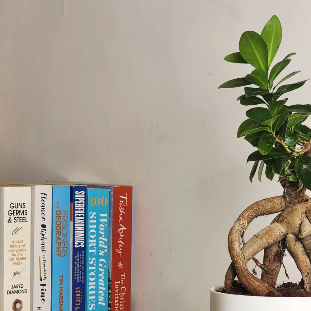 product-gallery