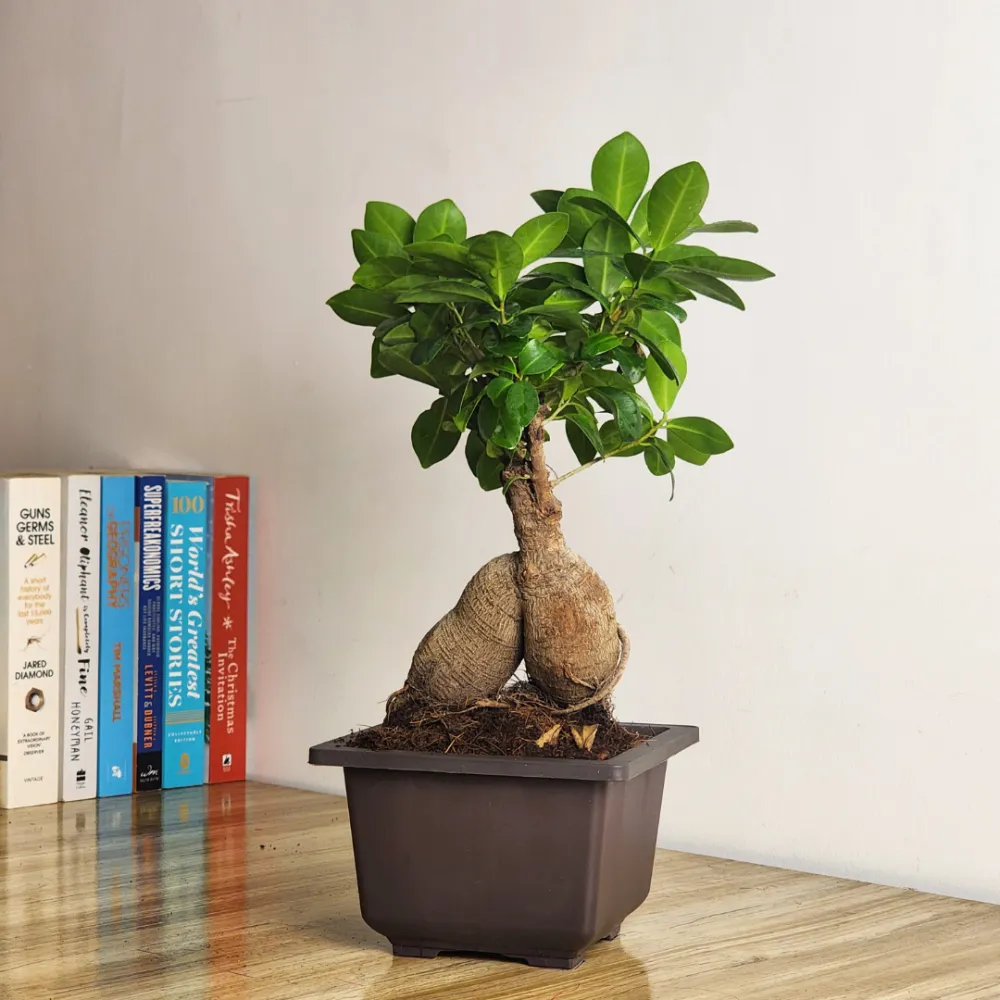 product-gallery