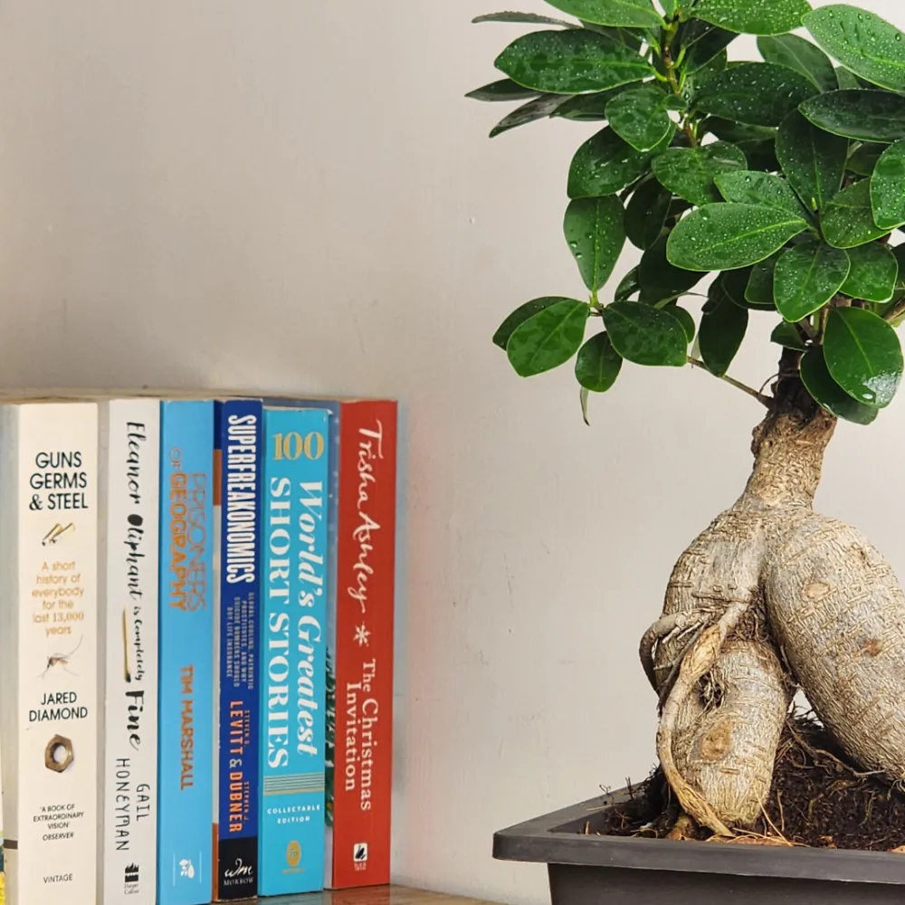 product-gallery