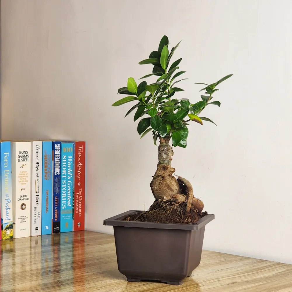 product-gallery