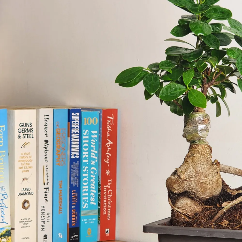 product-gallery
