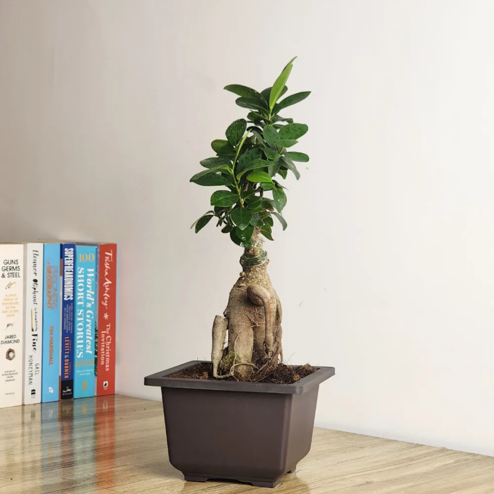 product-gallery