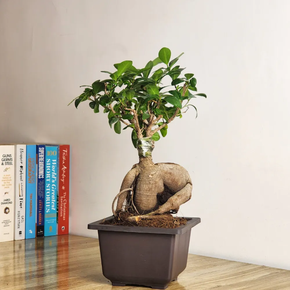 product-gallery