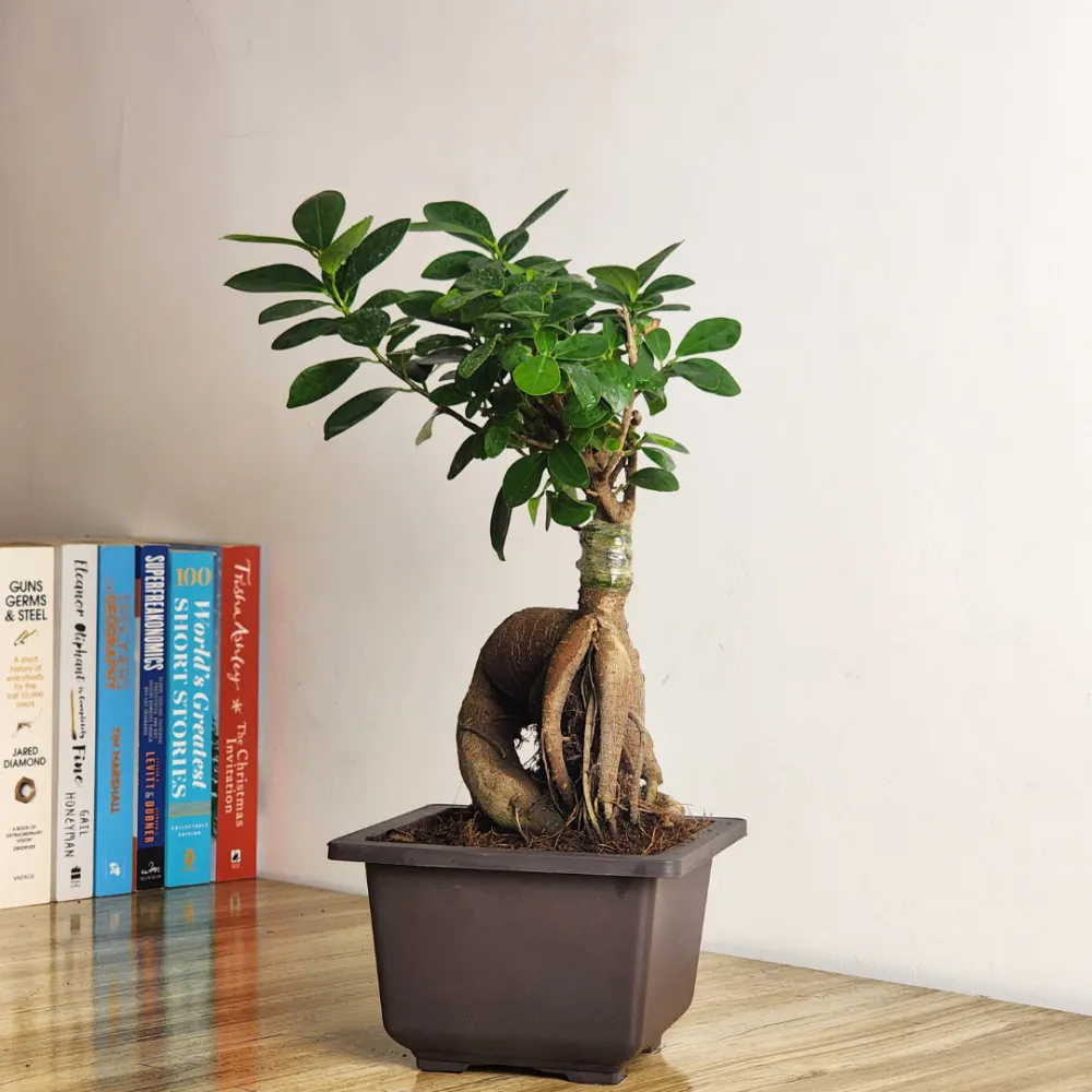 product-gallery