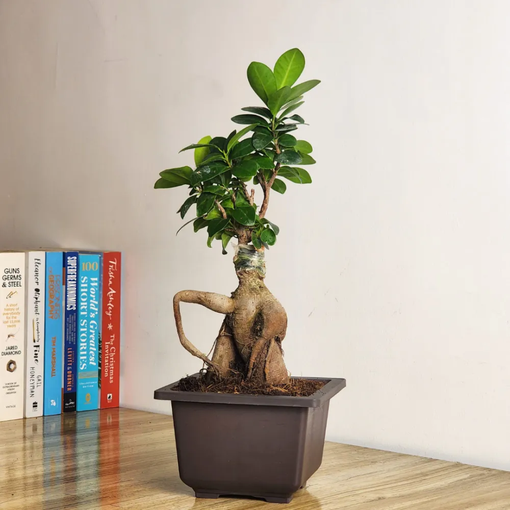 product-gallery