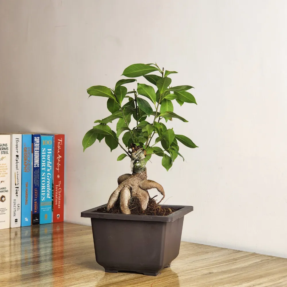 product-gallery