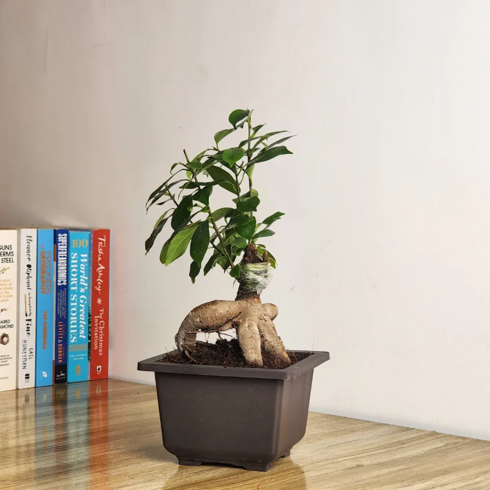 product-gallery