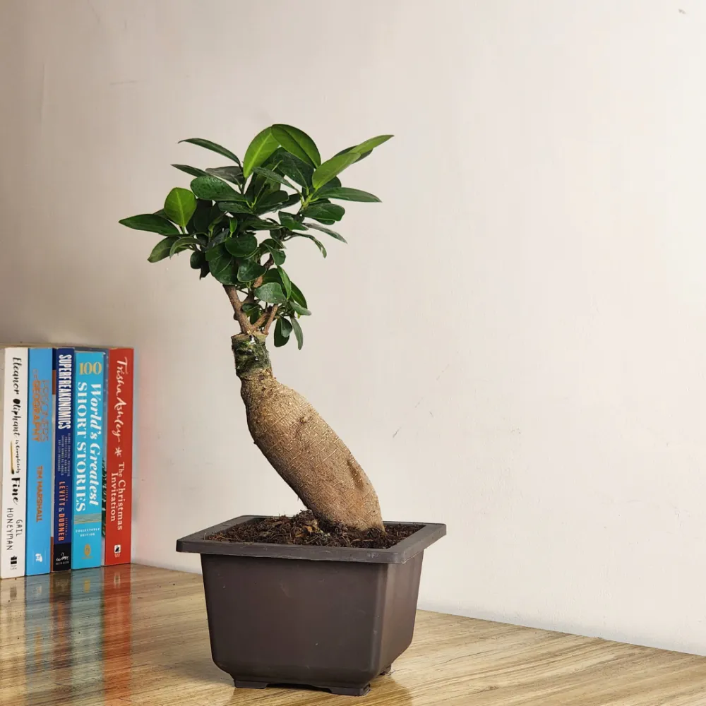 product-gallery