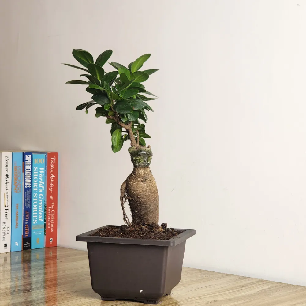 product-gallery