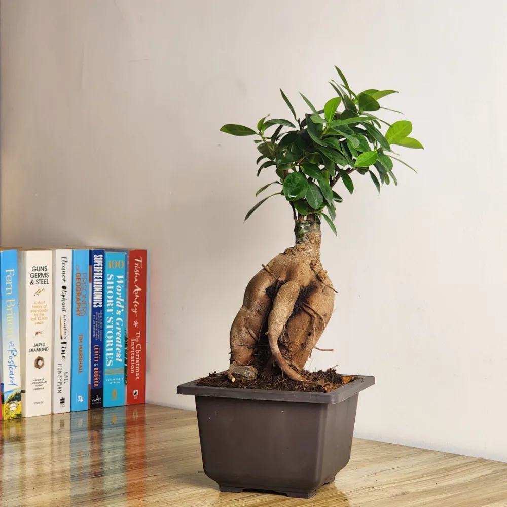 product-gallery