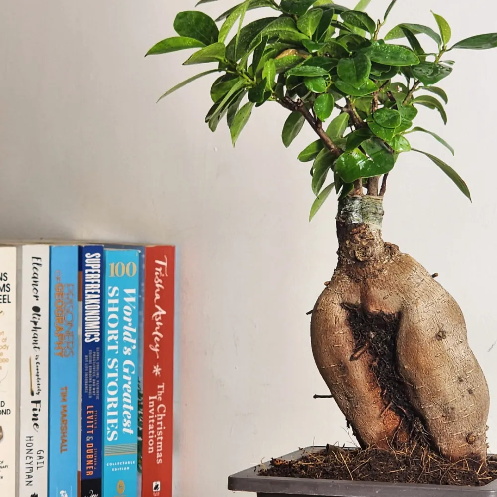 product-gallery