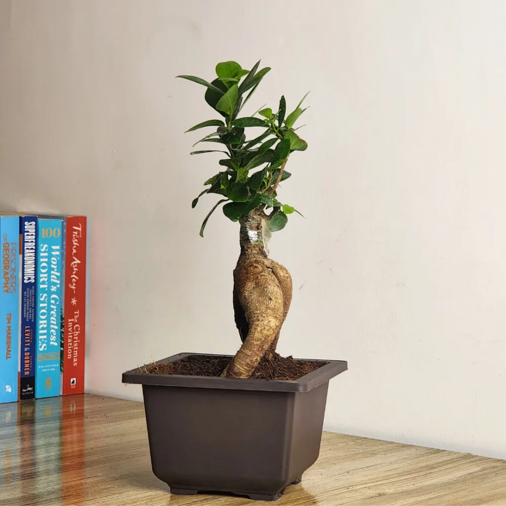 product-gallery