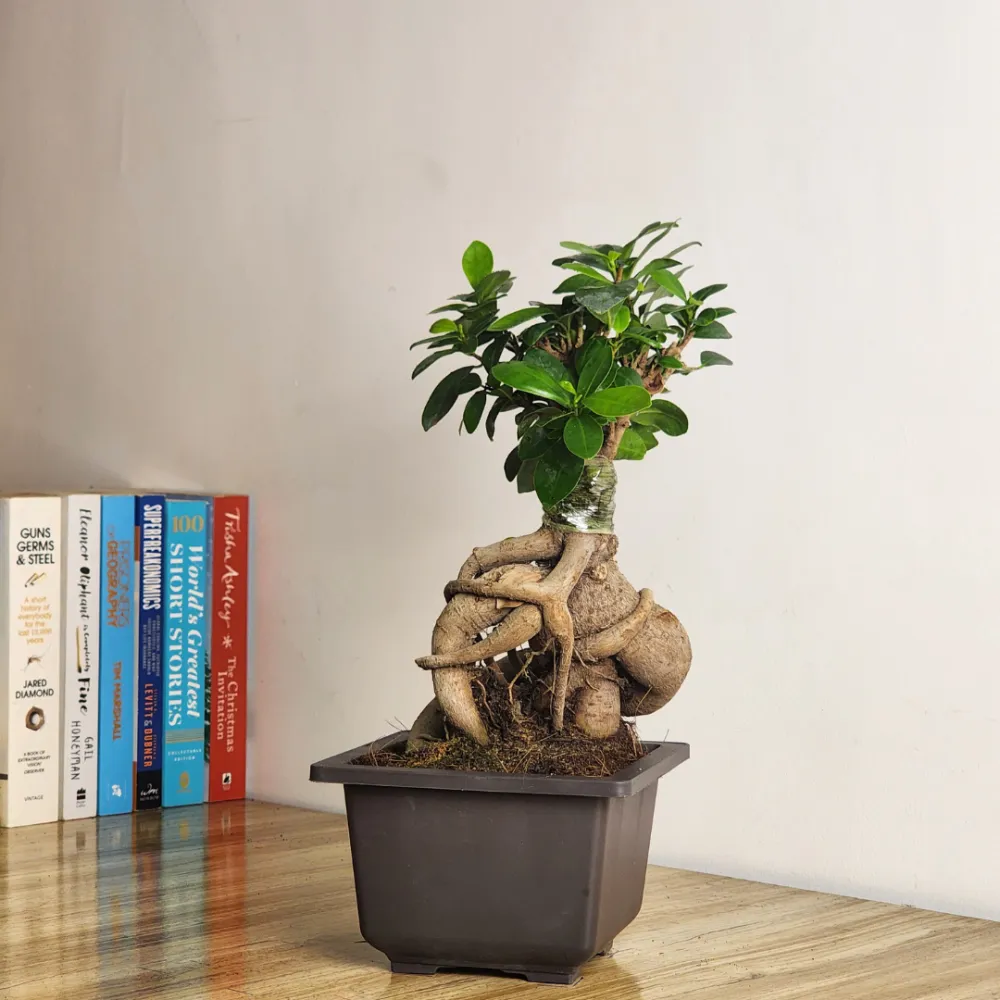 product-gallery