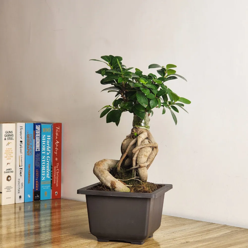 product-gallery