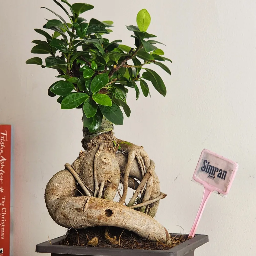 product-gallery
