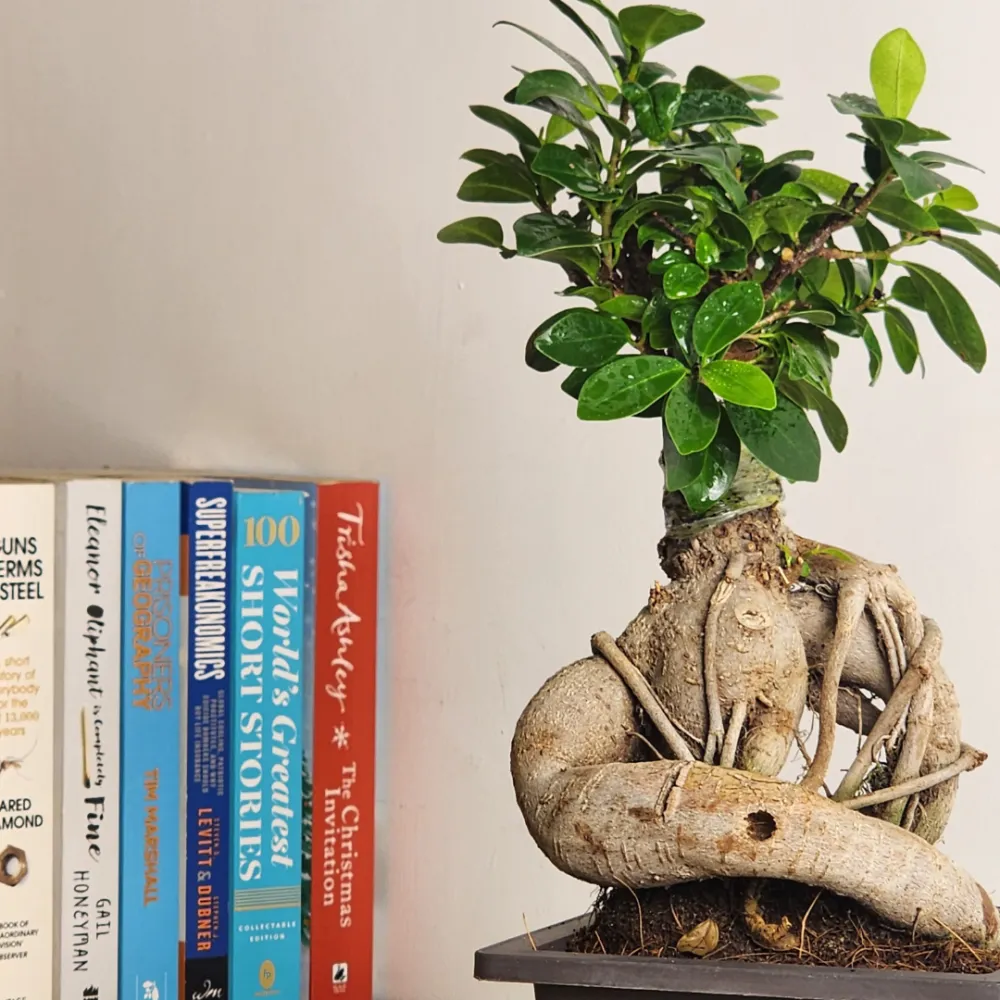 product-gallery