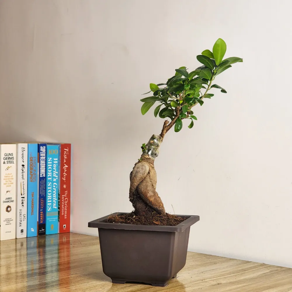 product-gallery