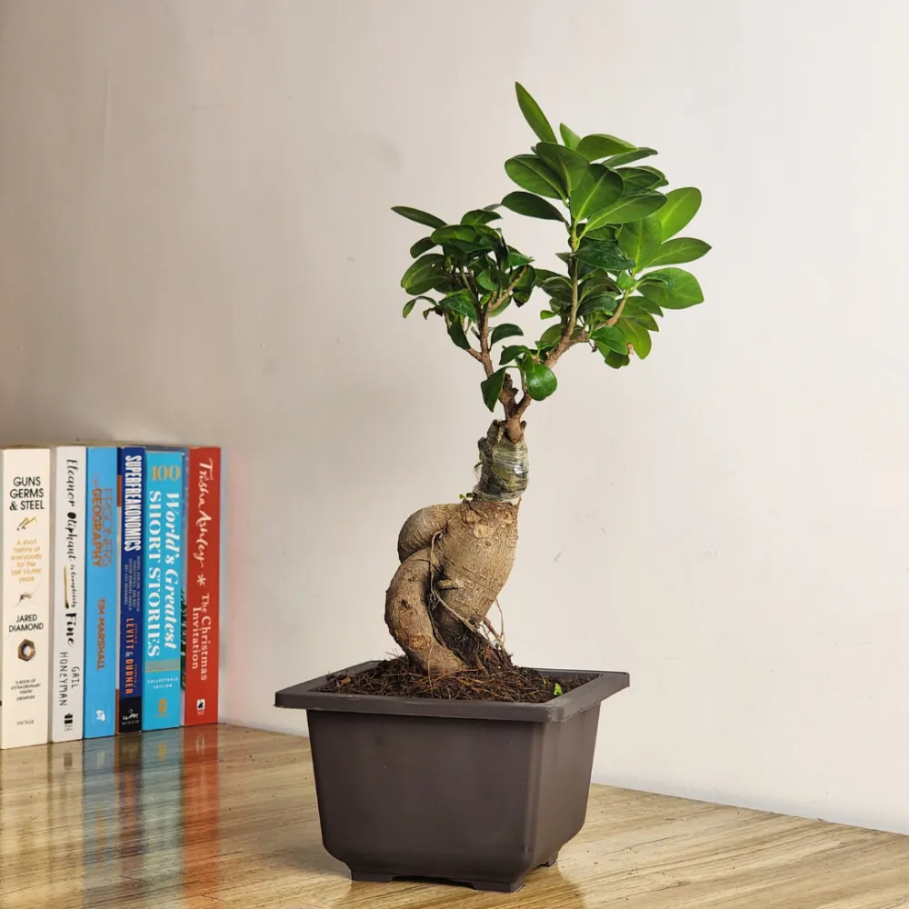 product-gallery
