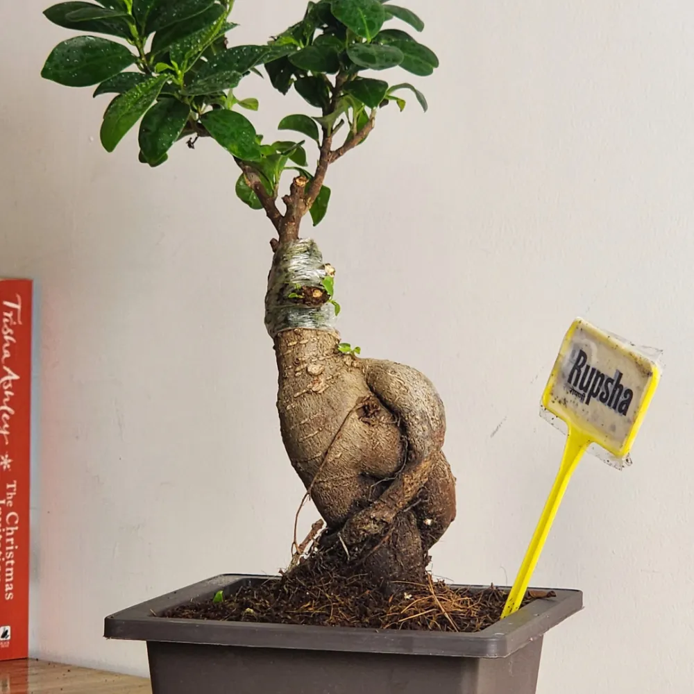 product-gallery