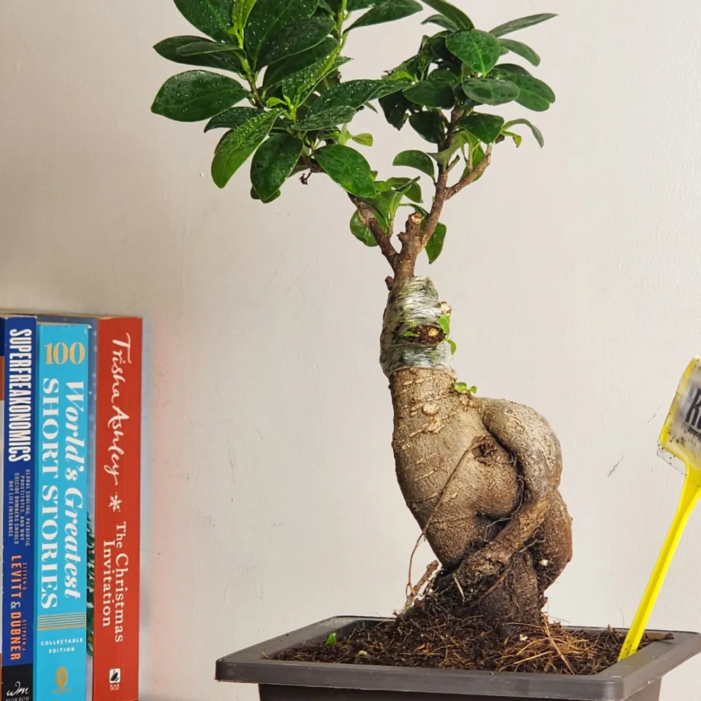 product-gallery