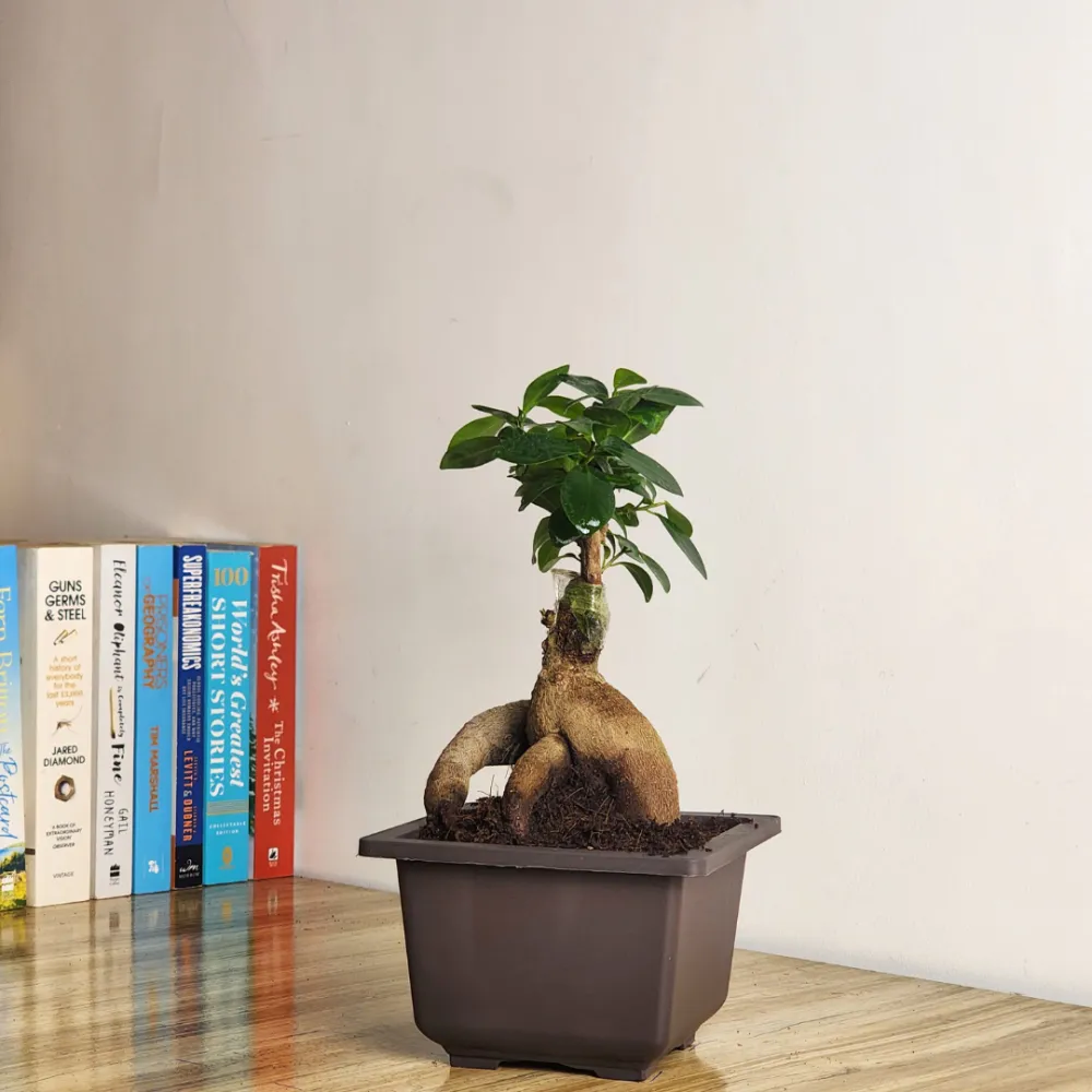 product-gallery
