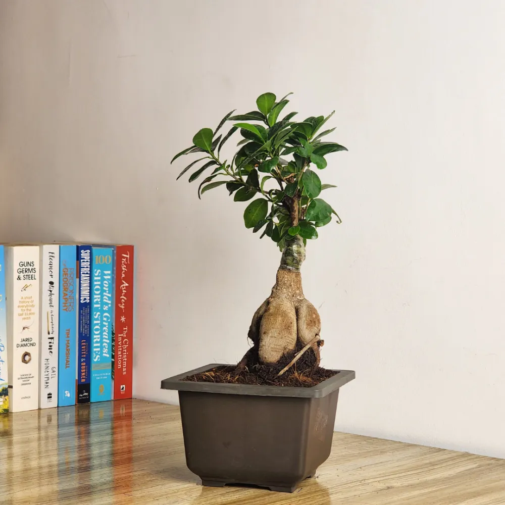 product-gallery