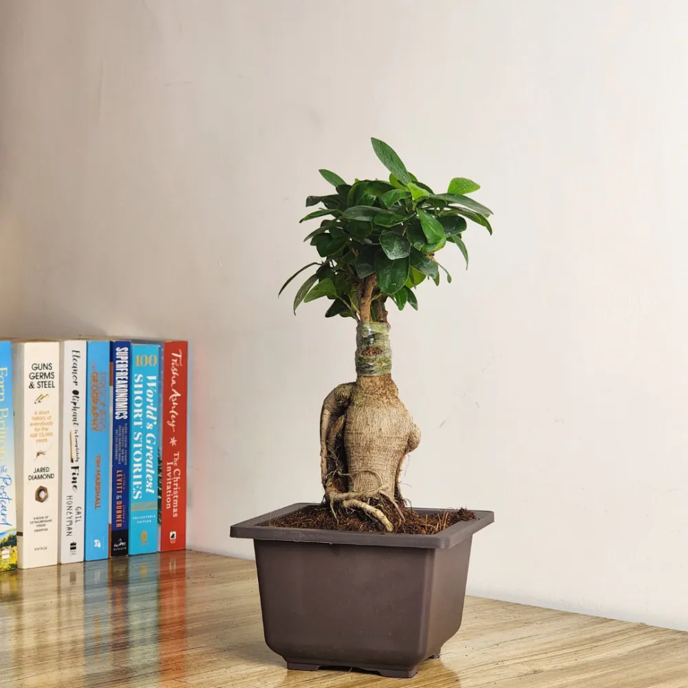product-gallery