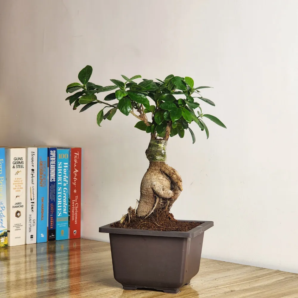 product-gallery