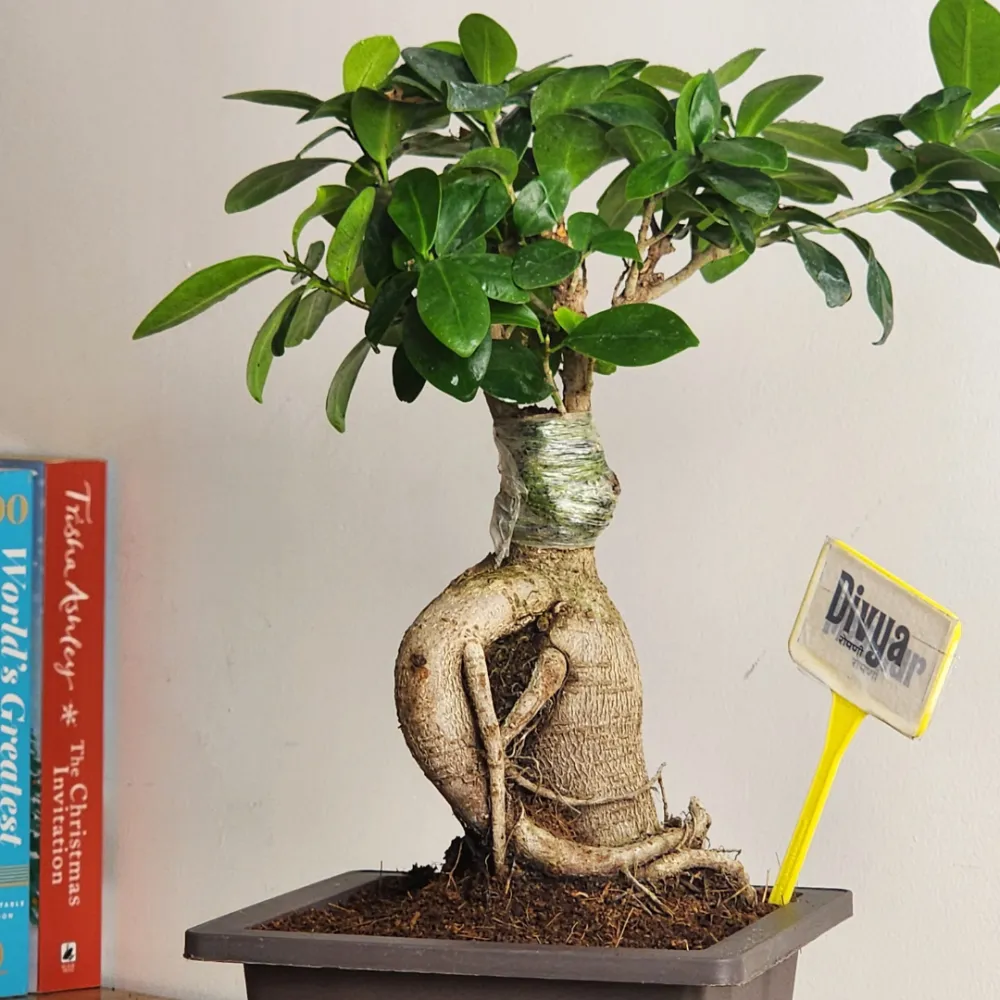product-gallery