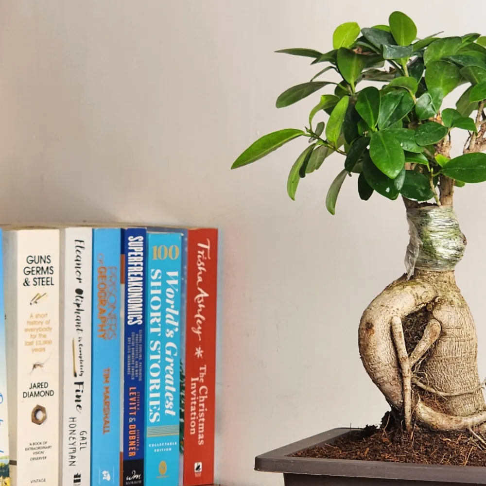 product-gallery