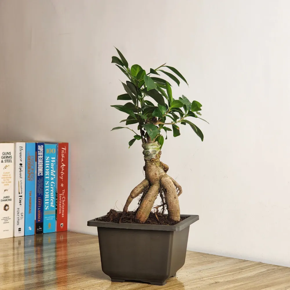 product-gallery