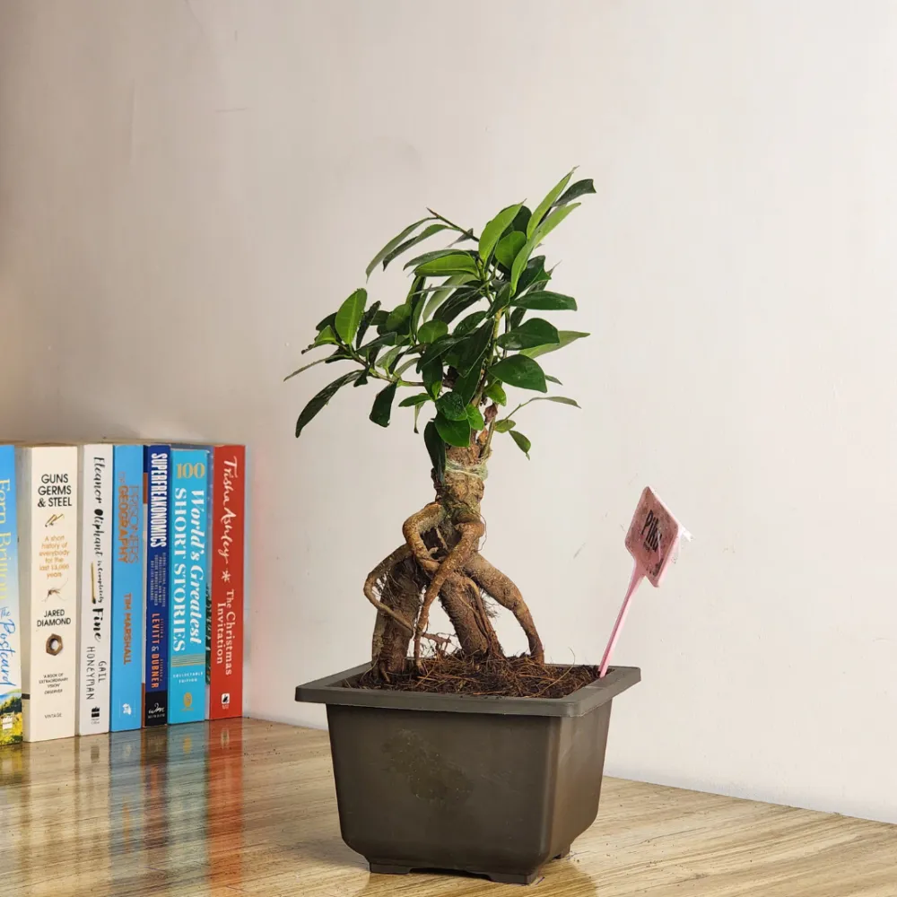 product-gallery