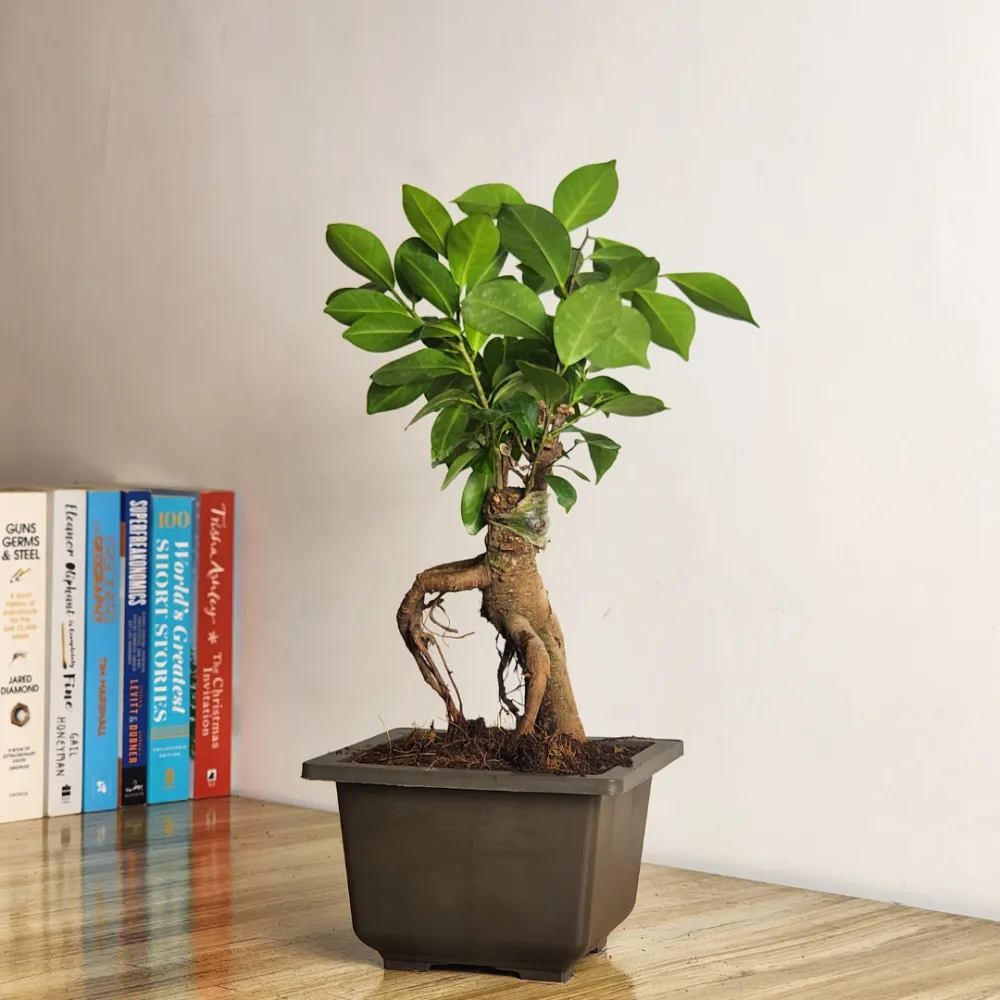 product-gallery