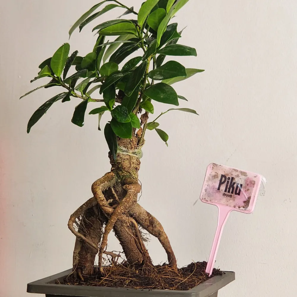 product-gallery