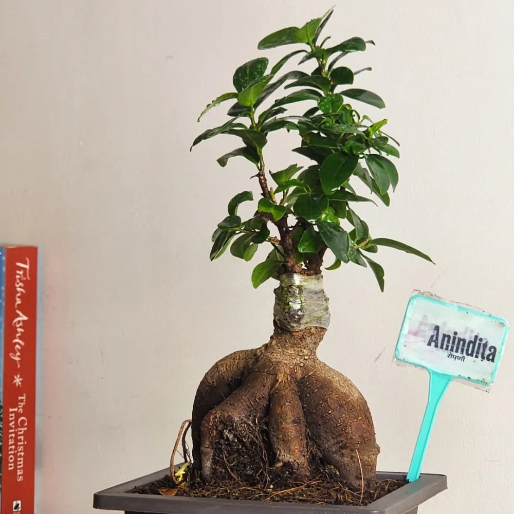 product-gallery