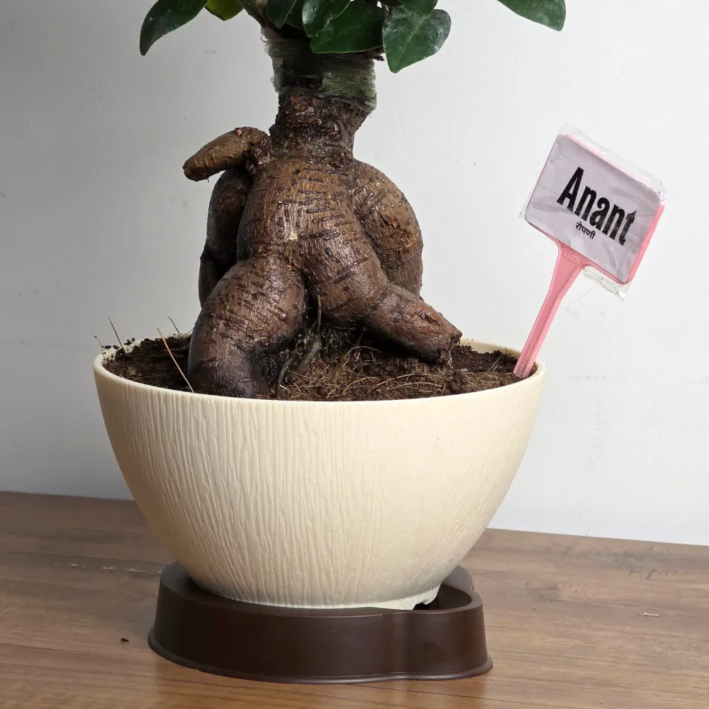 product-gallery