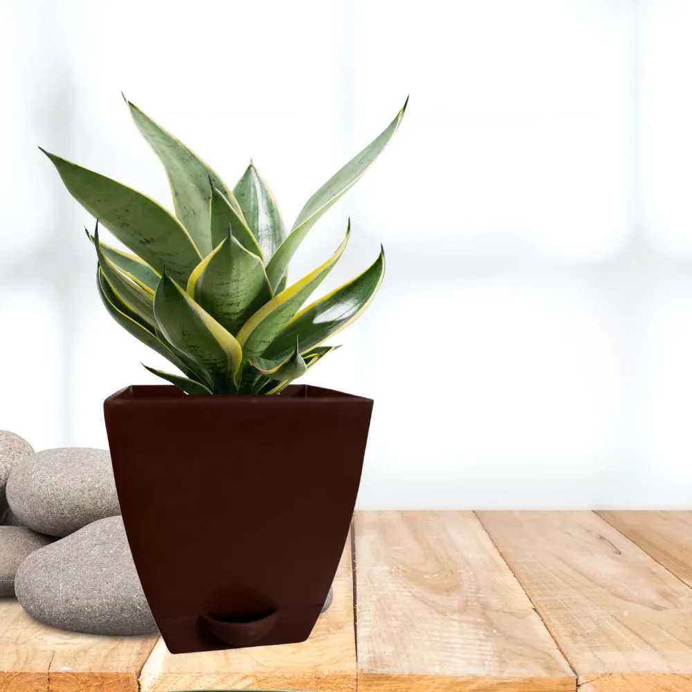 product-gallery