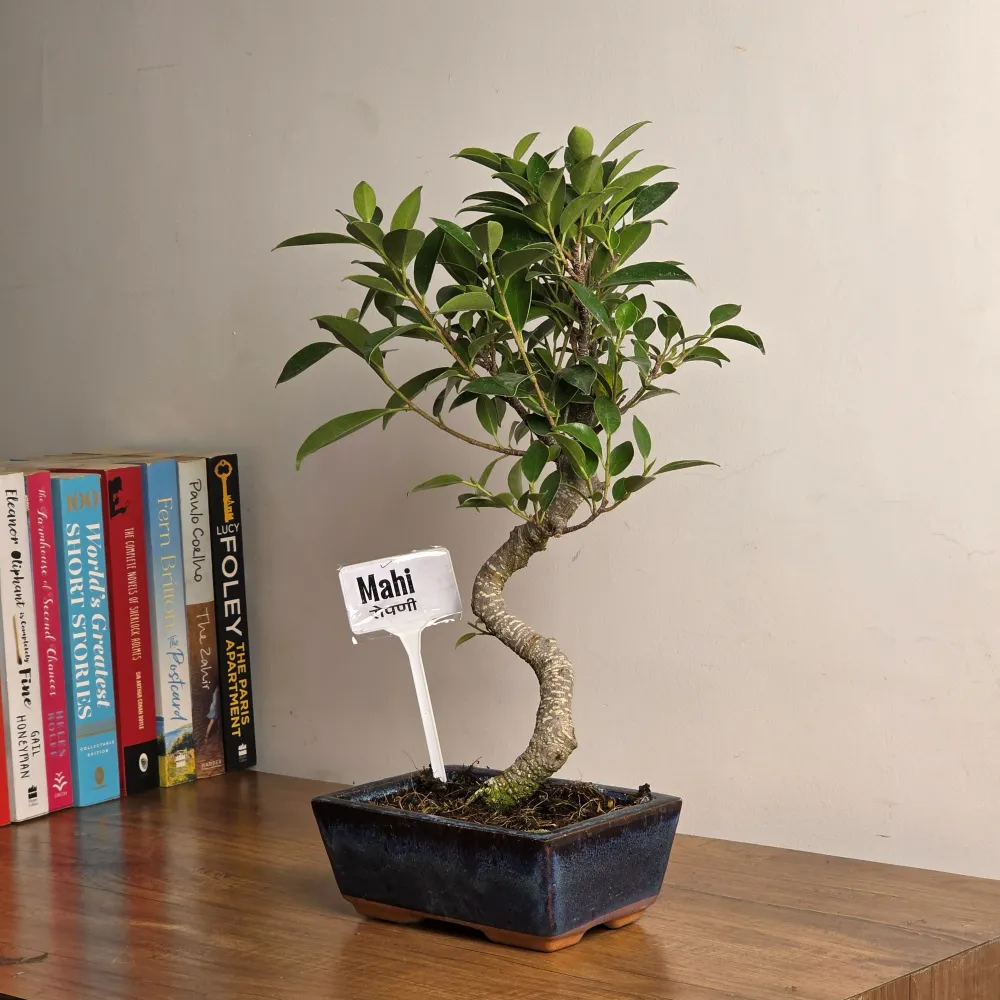 product-gallery