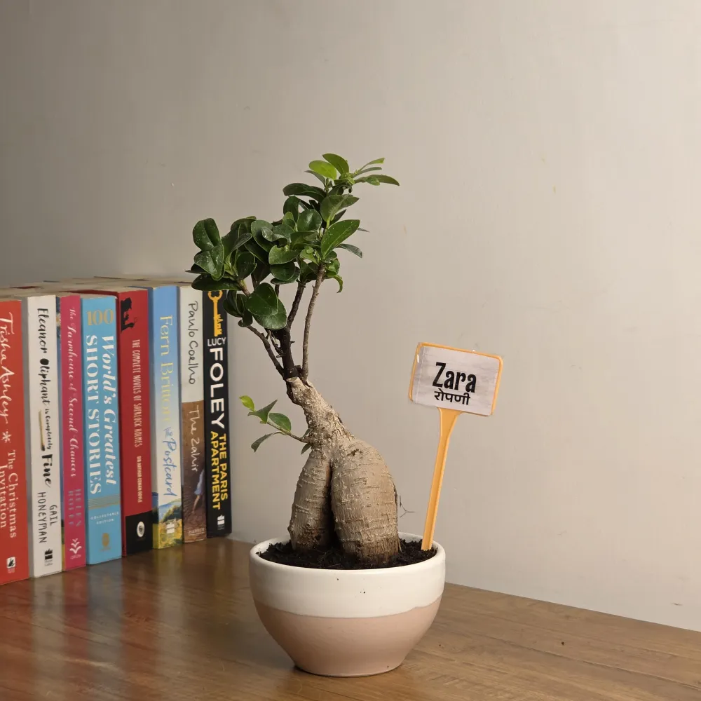product-gallery