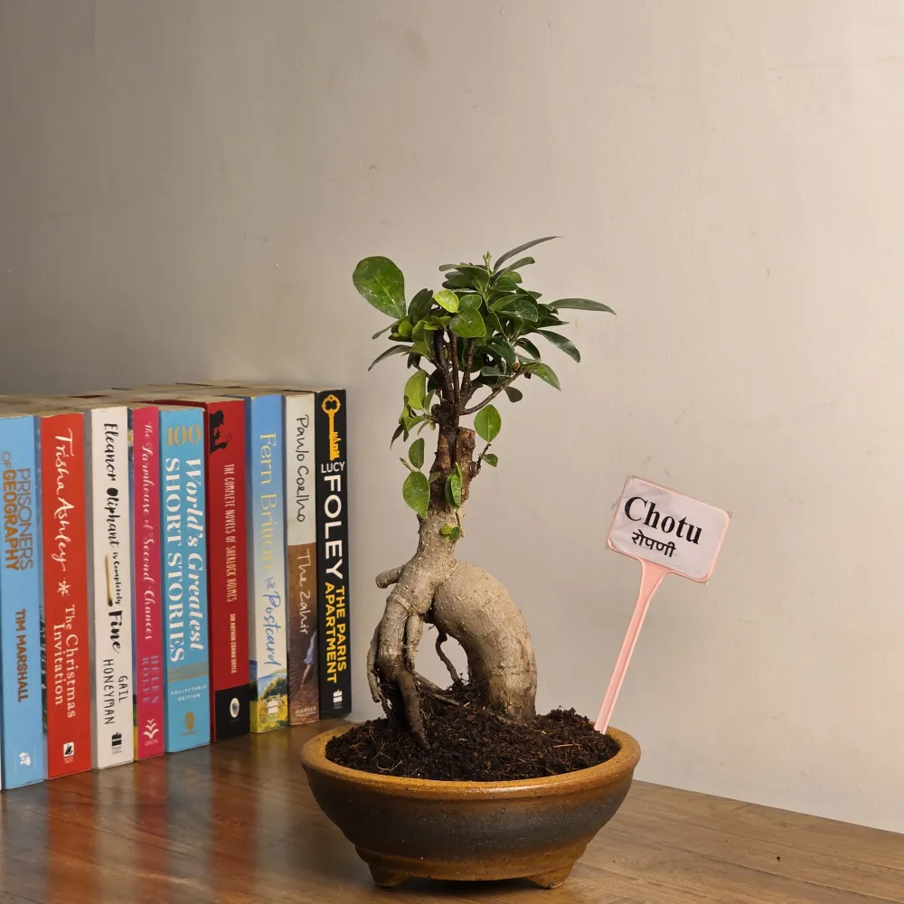 product-gallery